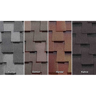 BTM Shingle Dragon